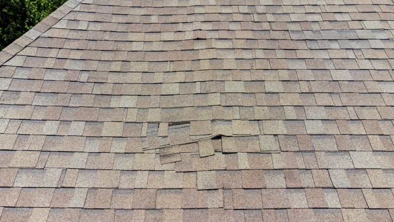 Asphalt Roof Inspection in Cortlandt Manor, NY