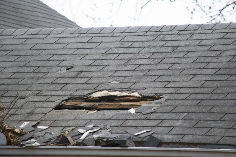 Asphalt Roof Leak Repair in Alpine, NJ