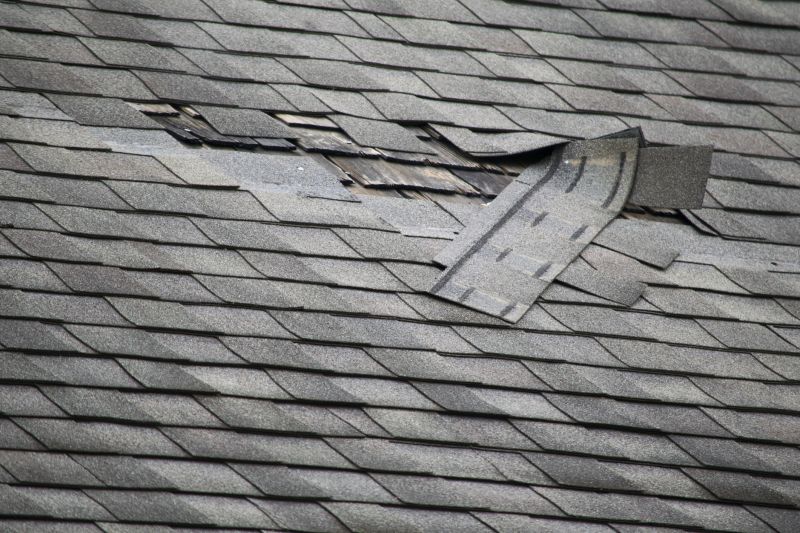 Asphalt Roof Leak Repair in Newark, NJ