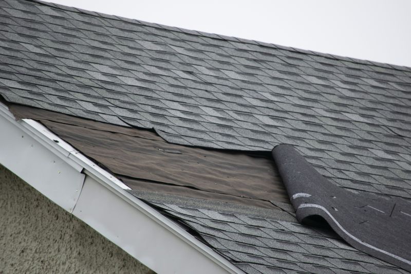 Asphalt Shingles Repair in Cedar Grove, NJ
