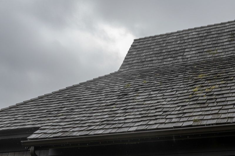 Cedar Shingles Replacement in Oak Ridge, NJ