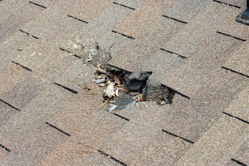 Damaged Roof Replacement in Hillsdale, NJ