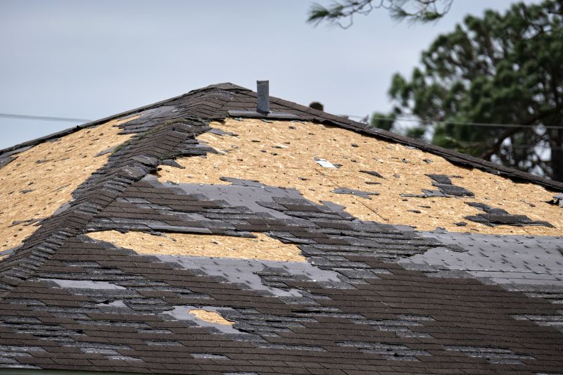 Roof Damage Repair in South Hackensack, NJ